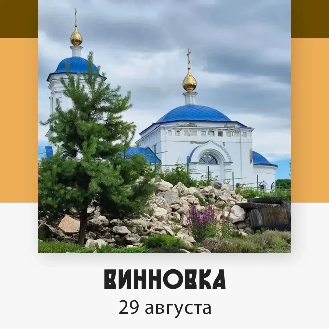 Винновка — изображение 2